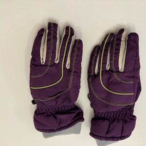 Purple and Gray Winter Gloves